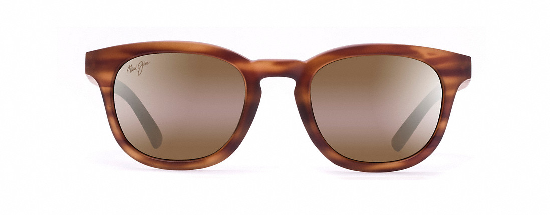  bronze polarized/tortoise