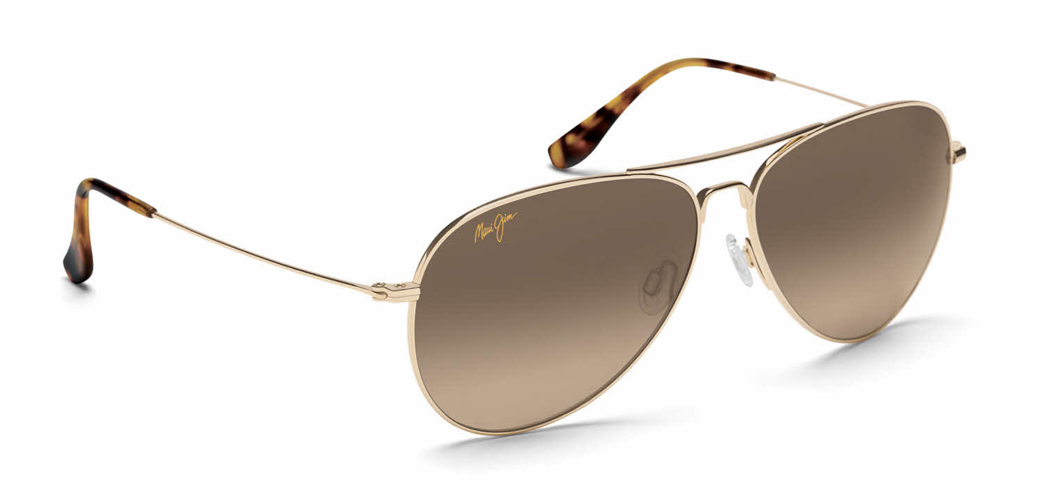  hcl bronze polarizedplus2 lens/gold
