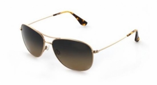  hcl bronze polarized/gold