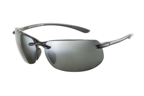  neutral gray polarized/gloss black