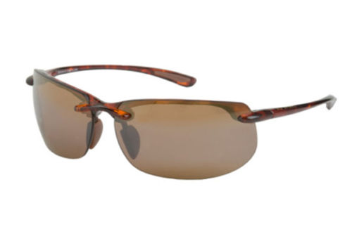  hcl bronze polarized/tortoise