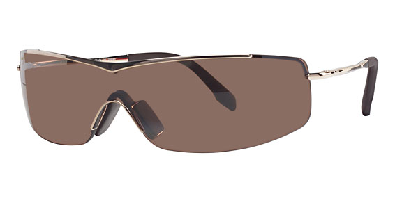  hcl bronze polarized/gold