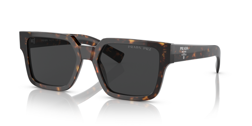  polar black/tortoise