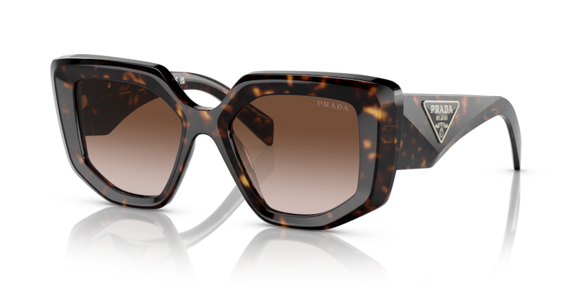 brown gradient/tortoise