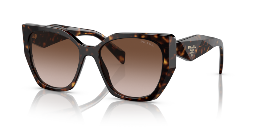  brown gradient/tortoise