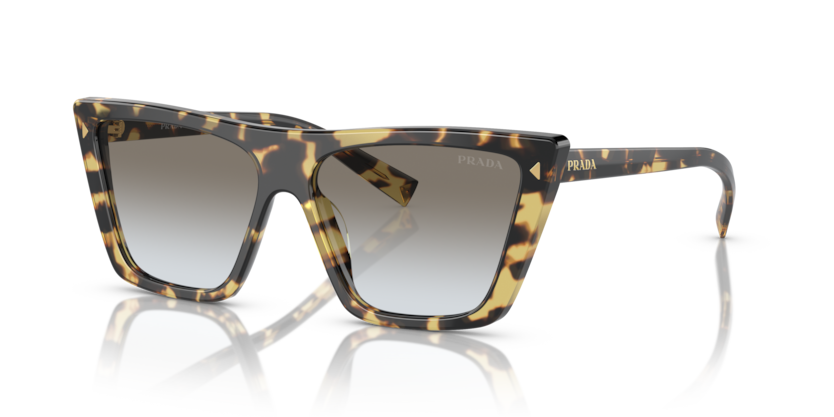  grey gradient/medium tortoise