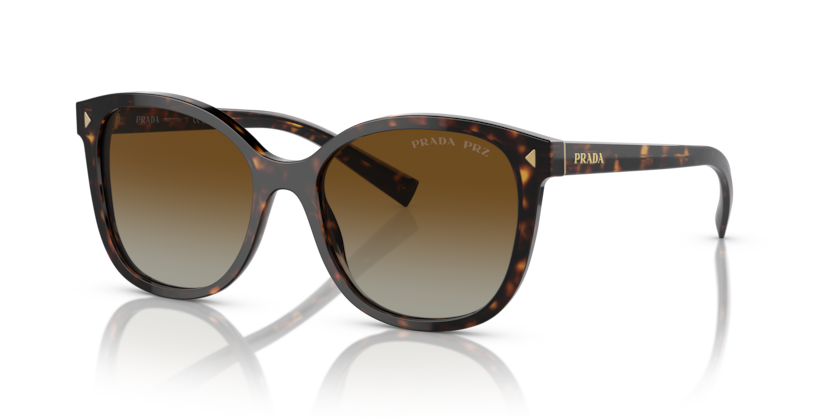  polar brown gradient/tortoise
