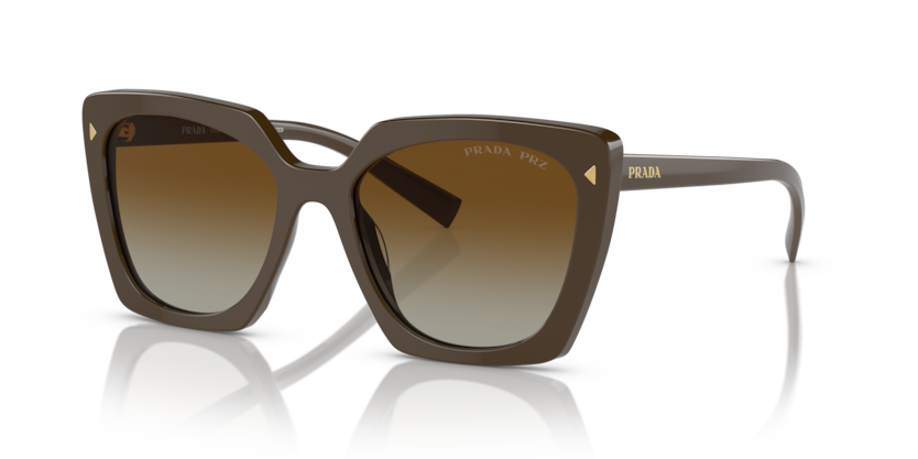  polar brown gradient/loden