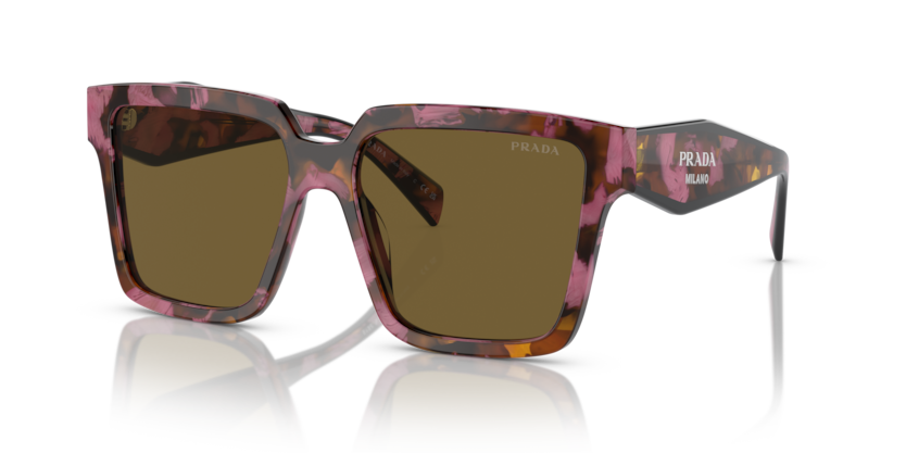  dark brown/tortoise cognac begonia