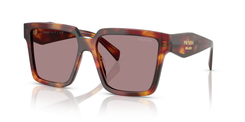  light purple brown/poppy tortoise