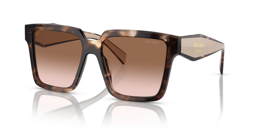  brown gradient/caramel tortoise