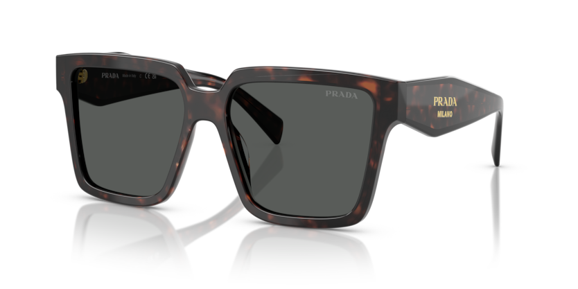  dark grey/root tortoise