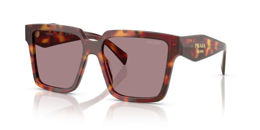  light purple brown/poppy tortoise