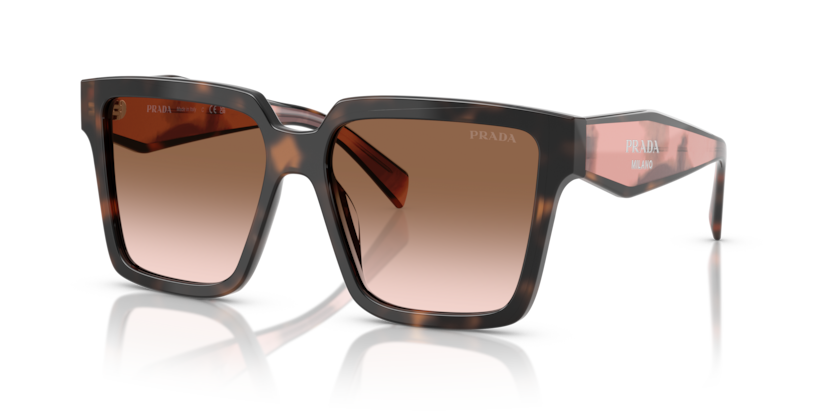  brown gradient/mauve tortoise