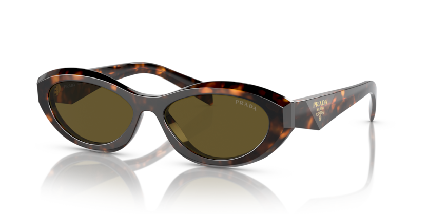  dark brown/sage/honey tortoise
