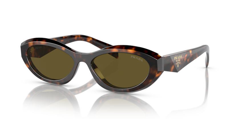  dark brown/sage/honey tortoise
