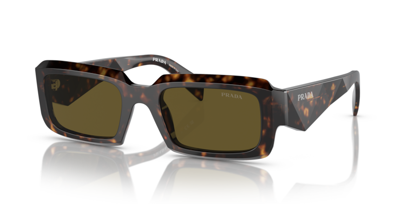  dark brown/loden/black