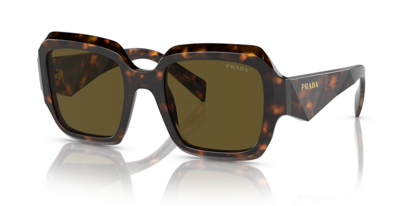  dark brown/sage/honey tortoise