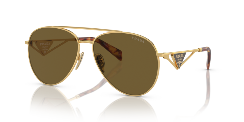  dark brown/gold