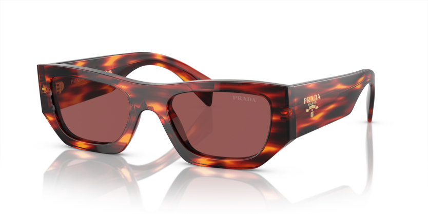  dark violet/havana red