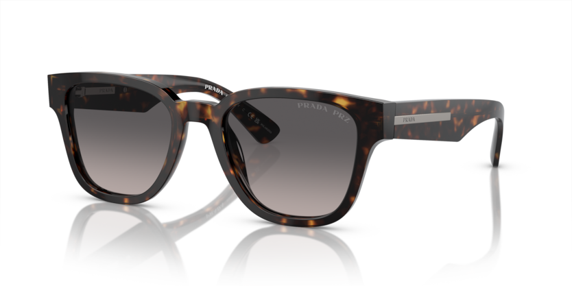  polarized grey gradient/tortoise