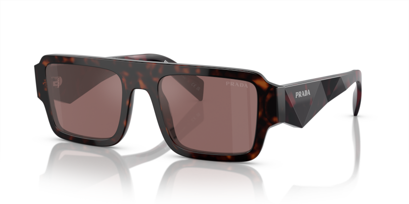  brown mirror internal silver/briar tortoise