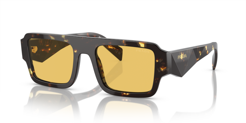  yellow/black malt tortoise