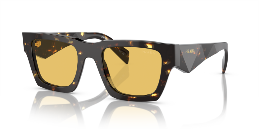  yellow/tortoise black malt