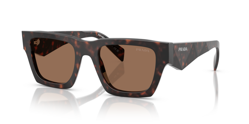  dark brown/root tortoise