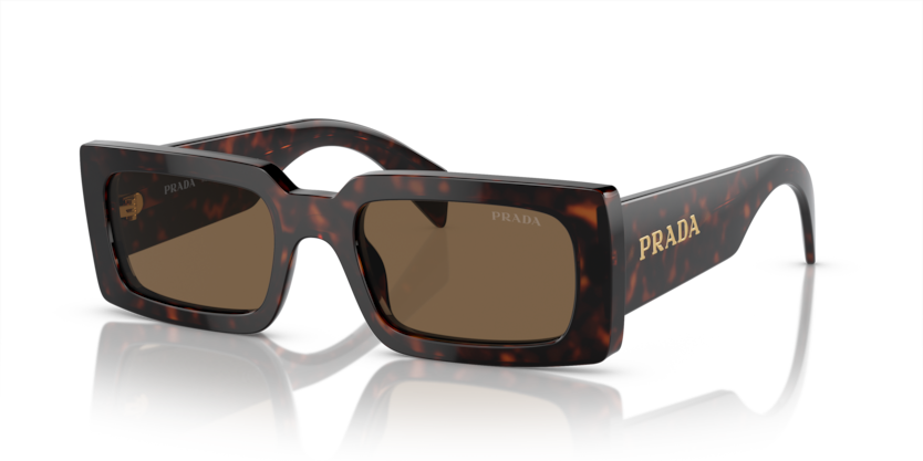  dark brown polarized/briar trotoise