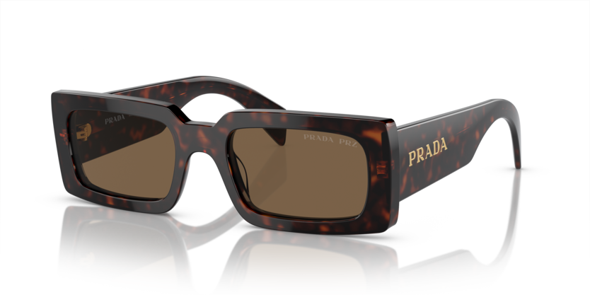  dark brown polarized/briar trotoise
