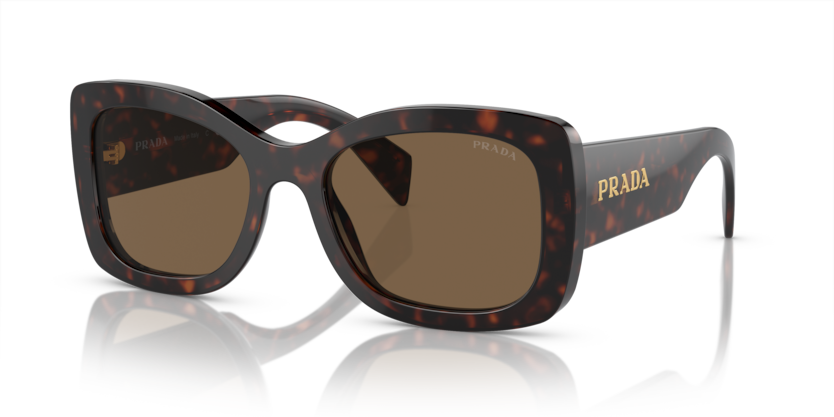  dark brown polarized/briar tortoise