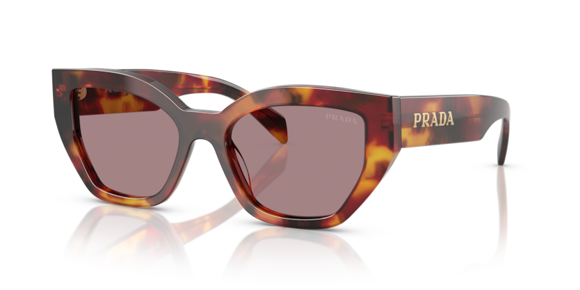  light purple brown/poppy tortoise