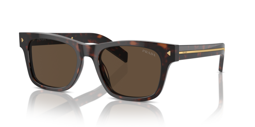  dark brown/radica tortoise