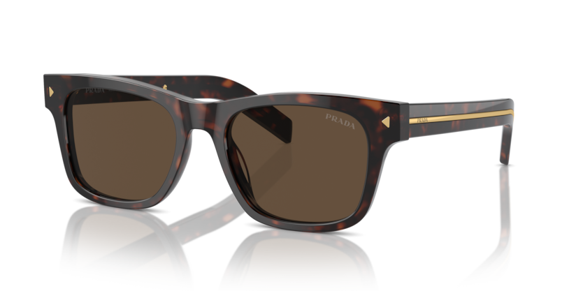  dark brown/radica tortoise
