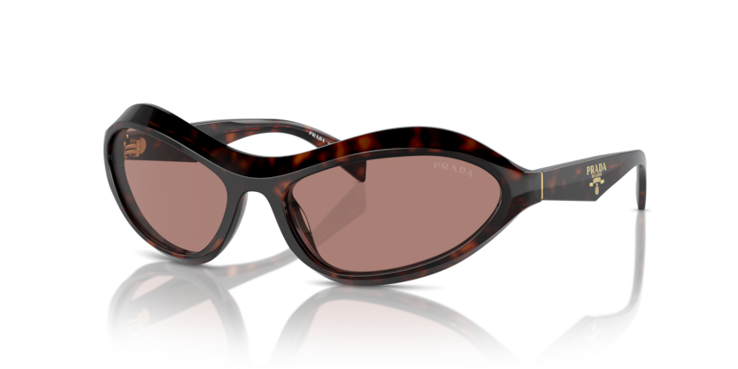  light brown/root tortoise