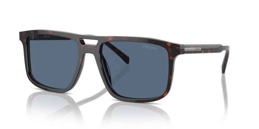  dark blue/radica tortoise