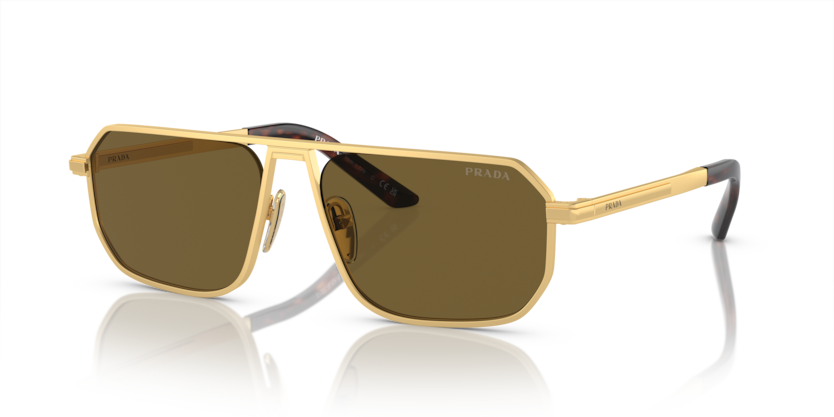  dark brown/matte gold