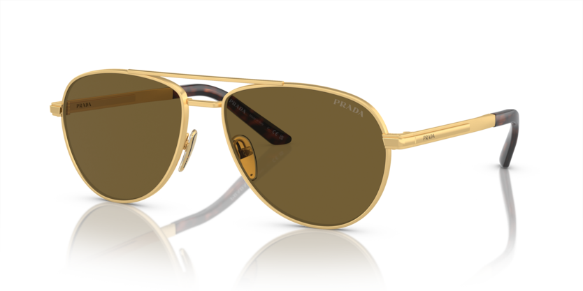  dark brown/matte gold