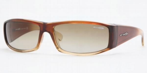 ARNETTE 4079