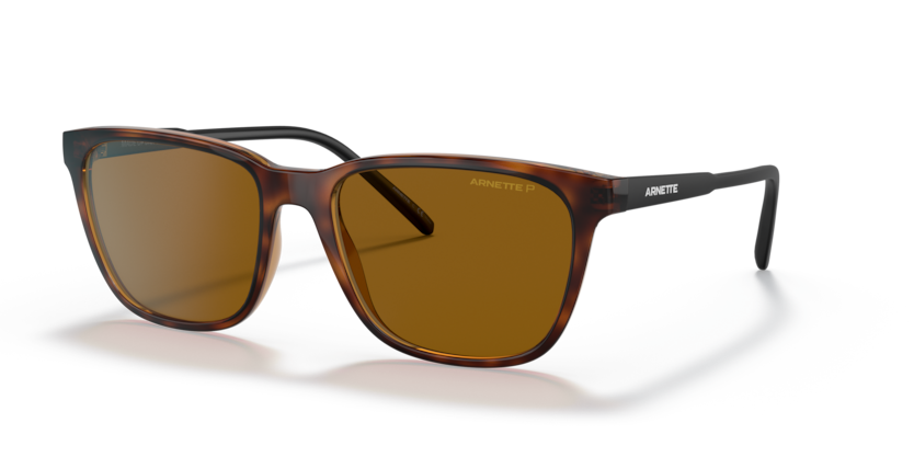  brown polarized/dark havana