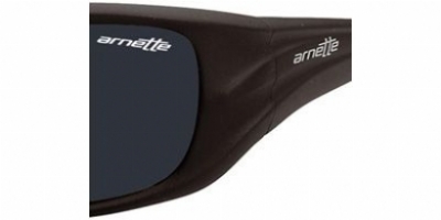 ARNETTE 4020