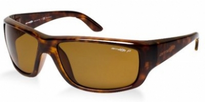  havana/brown polarized