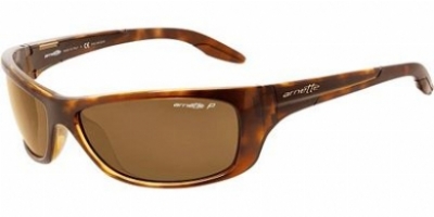  havana/brown polarized