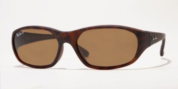  brown polarized/tortoise