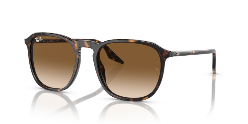 RAY BAN 2203 90251
