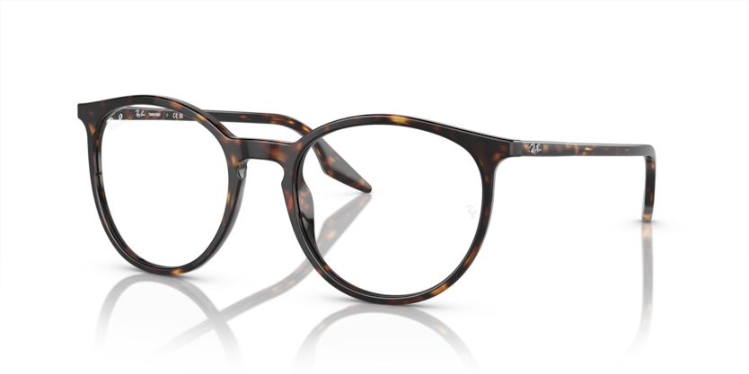 RAY BAN 2204F 902GJ