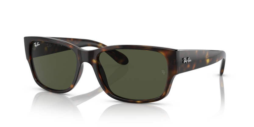 RAY BAN 4388 71031