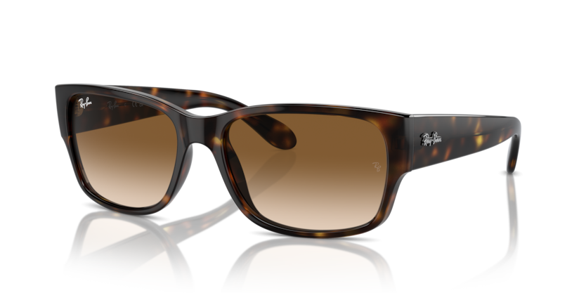 RAY BAN 4388 71051