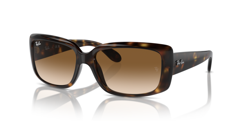 RAY BAN 4389 71051